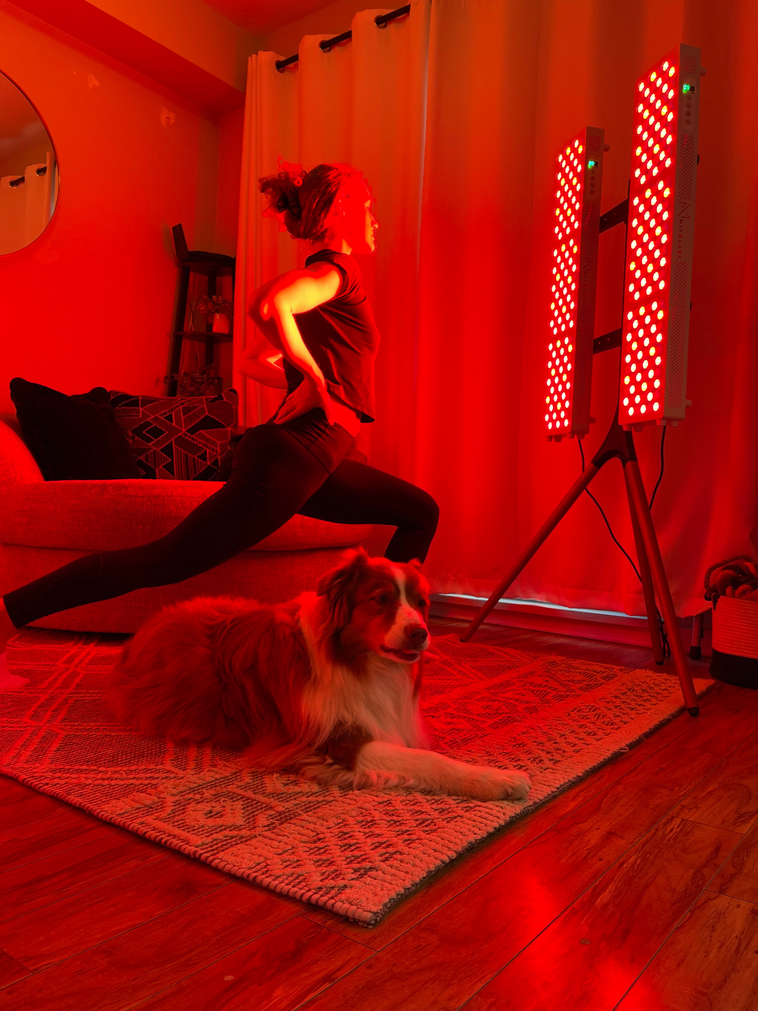 Kivo Elite 1000 Bundle: 2 x Elite 1000 & Easel Stand