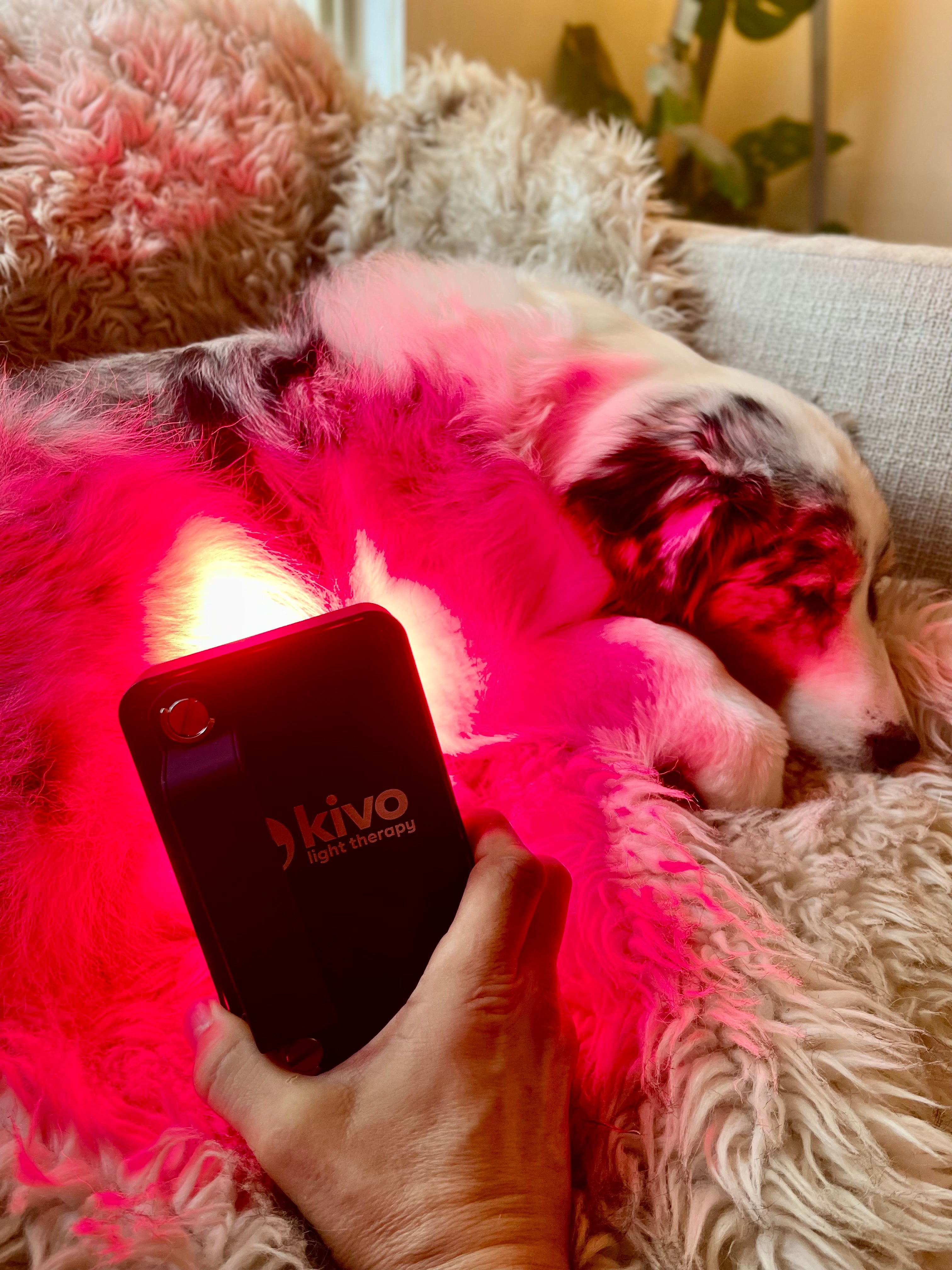 Kivo Elite Mini: Portable Red Light